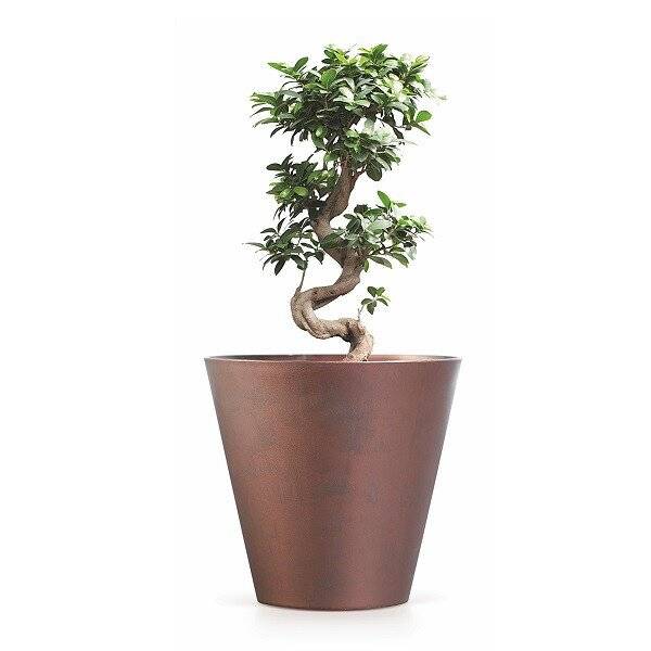 Кашпо для цветов "Prosperplast Tubus", кортен сталь, 28,5л Кашпо для цветов "Prosperplast Tubus", кортен сталь, 28,5л